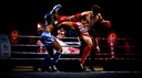 Nak Muay Thai Banner