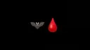 VAMP banner