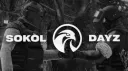 SOKOL DAYZ banner