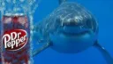 Shark Tank 15+ Discord server banner