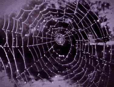 ⋆˖⁺‧₊☽𝕮𝖔𝖟𝖞 𝕮𝖔𝖛𝖊𝖓☾₊‧⁺˖⋆ Discord server banner