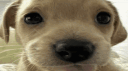 Krub Hub banner