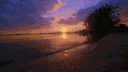 Moonlight Lounge ☾⋆⁺ banner