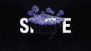 Shape Studio banner