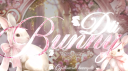 𝒟𝓉𝒾 ℬunny  ୨𝑒 Discord server banner