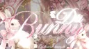 𝒟𝓉𝒾 ℬunny ୨𝑒 banner
