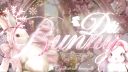 𝒟𝓉𝒾 ℬunny  ୨𝑒 banner