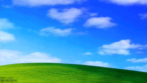 stinkycord Discord server banner