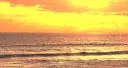 /cello banner