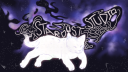 💫💿 Stardust Studio Discord server banner