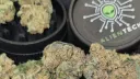 TheStonerServer 🌎 banner