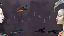 Explicit 🍷 banner