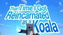 KOALA UNIVERSE Banner