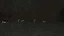/sweetener ꕤ ariana grande banner
