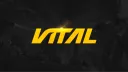 Vital Rust Console banner