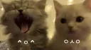 Reminiscent Discord server banner
