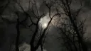 Nightfall banner