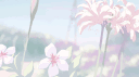 、      Aeri   !　❀    🐠　。 banner