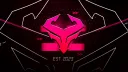 LLC ESPORT banner