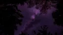 ⋱⊱☾⋰ 𝑽𝒆𝒍𝒗𝒆𝒕 𝒑𝒓𝒐𝒎𝒊𝒔𝒆 ⋱☽⊰⋰ banner