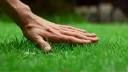 ✧- Grass -✧ Discord server banner