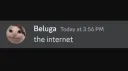 Beluga-ville Discord server banner