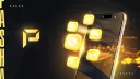 Pasha banner