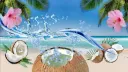/sunkissed banner