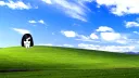 spoopytism Discord server banner