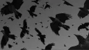 System Shenanigans Discord server banner