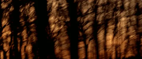 SLEEPERS banner