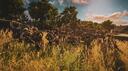 24/7 Combat Operations Banner
