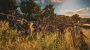 24/7 Combat Operations banner