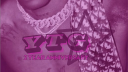 YTG 🌸 server banner