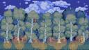 Moss & Moon Banner