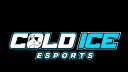 Cold Ice eSports - Home of Simracing banner