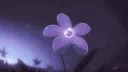 /plutosangels Discord server banner
