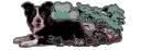 Crittercatt’s Den 🐾 Discord server banner