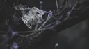 ๐๐๐๐๐๐๐๐๐๐๐๐ยนโธโบ server banner
