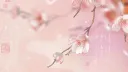 ✿ Sᴀᴋᴜʀᴀ ᴄᴀғᴇ ✿ banner