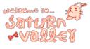 Saturn Valley Banner