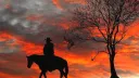 The Sunset Saloon Discord server banner