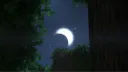 Ravencrest banner
