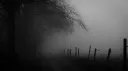 purified! Discord server banner