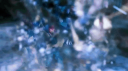 XLOV Discord server banner