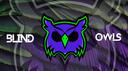 Blind Owls Esports Banner