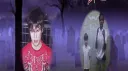 Lelo the cat server i guess banner