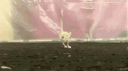 ekansh#7834 banner
