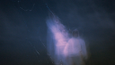 BENCHIKI'S TRIBE Discord server banner