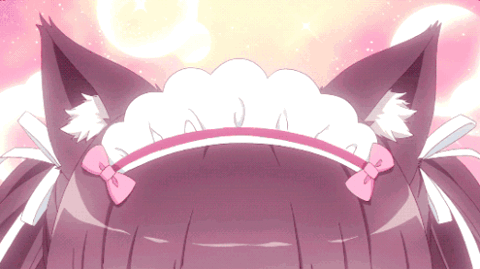 team cat ᓚᘏᗢ banner